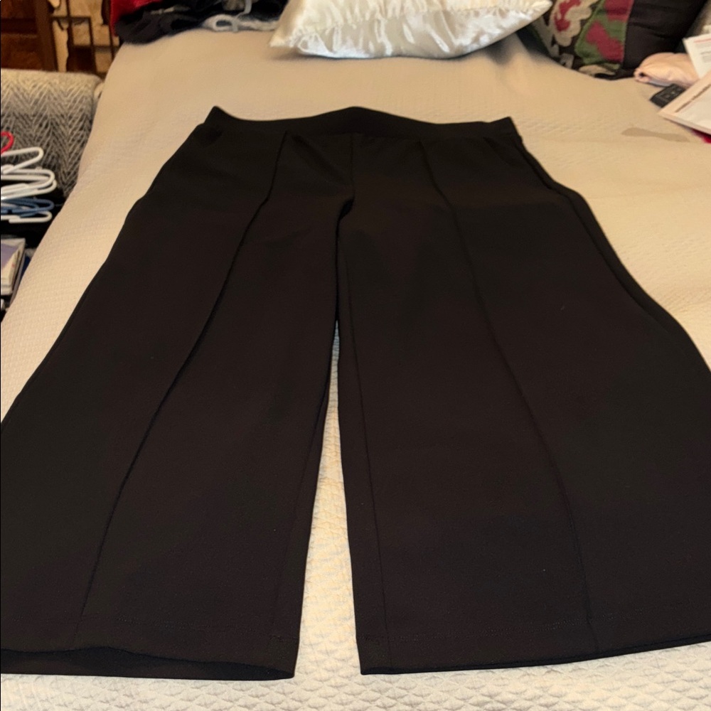 Elegant Loft Black Wide-Leg Women's crop Pants